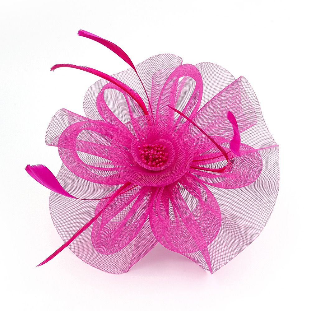 Piume nastro Fascinator cappel - Women'S Fashion Kentucky Derby recensione e prezzo